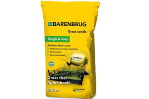 Fűmag Barenbrug Resilient Blue Lawn 5kg