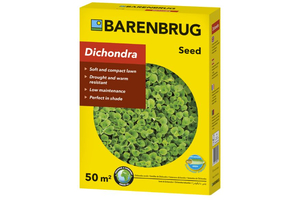 Fűmag Barenburg Dichondra 0,5 kg